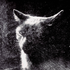 Avatar for julianasanc
