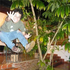 Avatar de camilinux