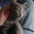 Avatar for kiarst