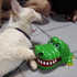 Avatar for anwlro2823