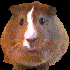 Avatar für Meersau