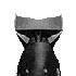 Avatar for eczook