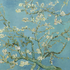Avatar for Selesen