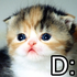 Avatar for Downlord