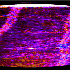 Avatar für Negative666