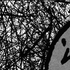 Avatar for AntiqueStorm