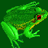 Avatar für Froguette