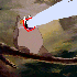 Avatar for Magic_Neko