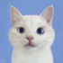 Avatar for close222u