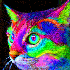 Avatar di X_A_V_I_E_R