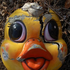Avatar for ChiserFan