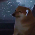 Avatar for Meepers21