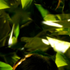 Avatar for trespuntouno