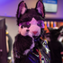 Avatar de bruckdahousecat