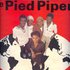 Avatar di Pied Pipers