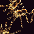 Avatar for spideman