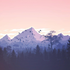 Avatar for BullschidTV