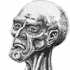 Avatar for Gore_Extirpator
