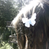 Avatar for asphodelyn
