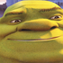 Avatar for shrek