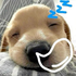 Avatar for nvixi