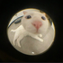 Avatar for rlpp
