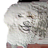 Avatar for ROTAMG