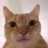 Avatar for cro1221