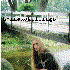 Avatar di Heinous Killings