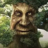 Avatar di tonykkkk