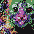 Avatar for lfsc25