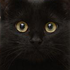 Avatar di Gotha_Bella