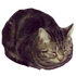 Avatar für msderyae