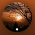 Avatar for In a Dreamlike State