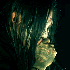 Avatar for solemnvulgar