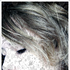 Avatar for rbn_