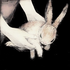Avatar for ezonet