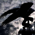 Avatar for Socramd