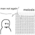 Avatar di Meiosis102