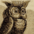 Avatar for whimsymoth