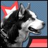 Avatar for One Cool Dog