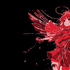 Avatar for E3rxk