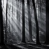 Avatar für Mr_Hellview