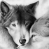 Avatar for Grey_Wind