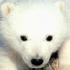 Avatar for thybear