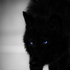 Avatar for ForsakenxShadow