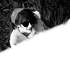 Avatar for in2columns