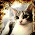 Avatar di TheAwezomeZauce