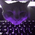 Caatmeow için avatar
