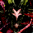 Avatar for Thrumur